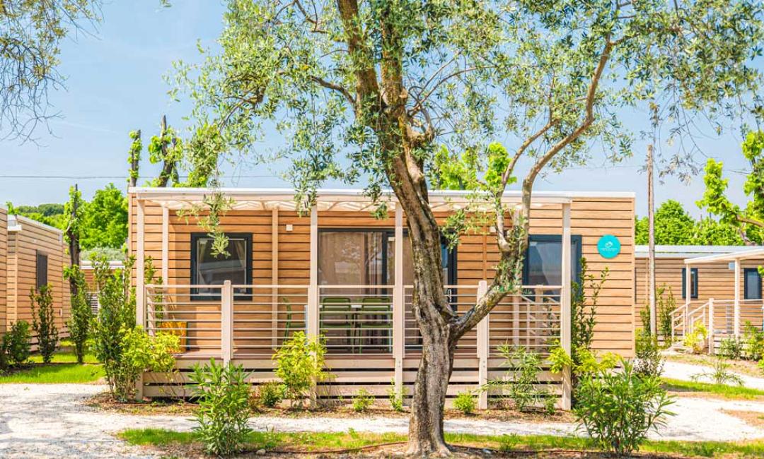 Casa mobile in legno con veranda, immersa nel verde.