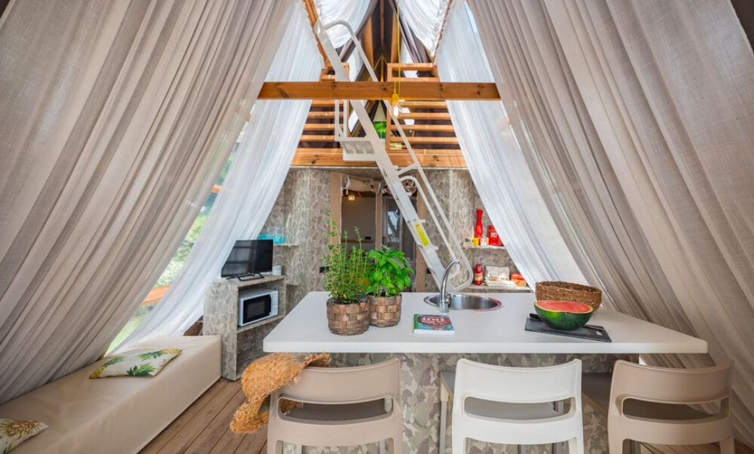 Cozy interior with kitchen, plants, and loft ladder.